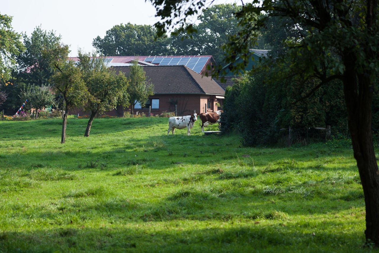 Bild 23 - Wiemersdorfer Vogelschiessen